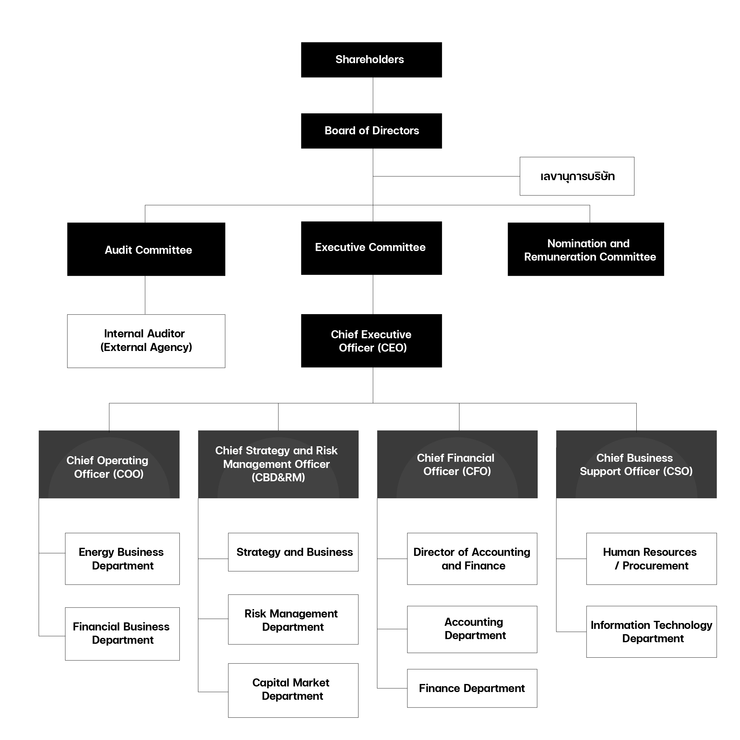 Organization Chart of Alpha Divisions Public Company Limited