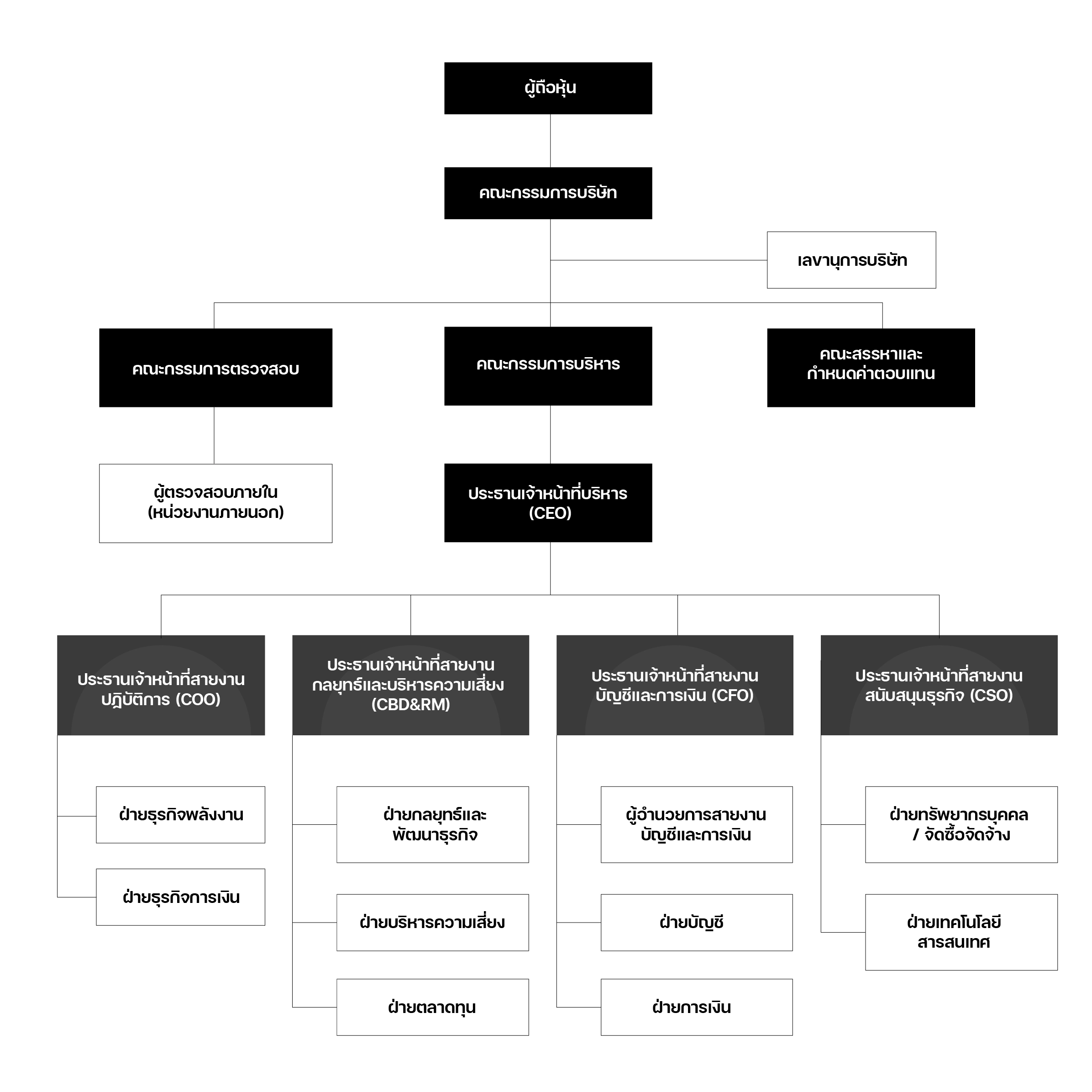 โครงสร้างองค์กร บริษัท อัลฟ่า ดิวิชั่นส์ จำกัด (มหาชน)
